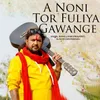 About A Noni Tor Fuliya Gawange Song